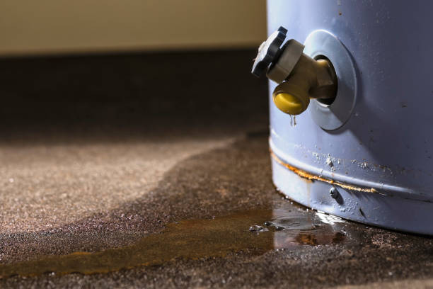 Best Water damage restoration cost  in Rowland Heights, CA