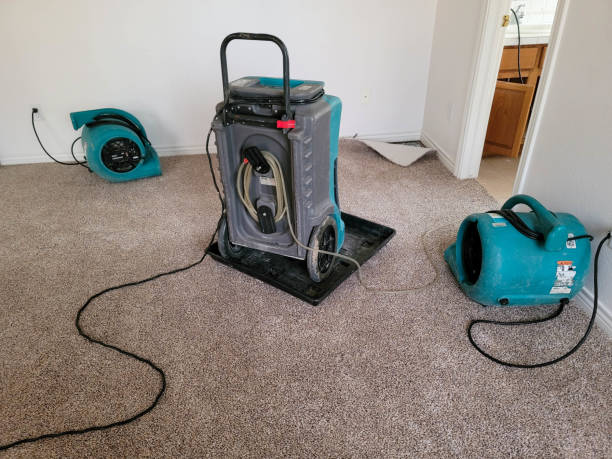 Best Mold removal after water damage  in Rowland Heights, CA