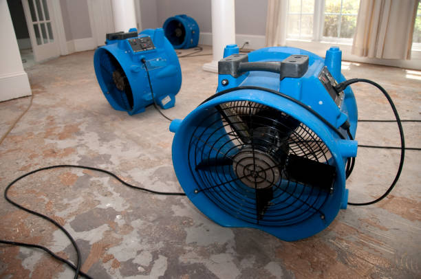 Best Water damage repair service  in Rowland Heights, CA