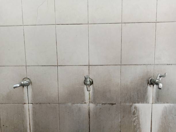 Best Local water damage restoration  in Rowland Heights, CA