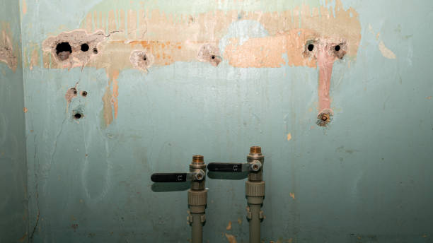 Best Water damage repair service  in Rowland Heights, CA