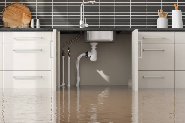 Best Carpet water damage restoration  in Rowland Heights, CA
