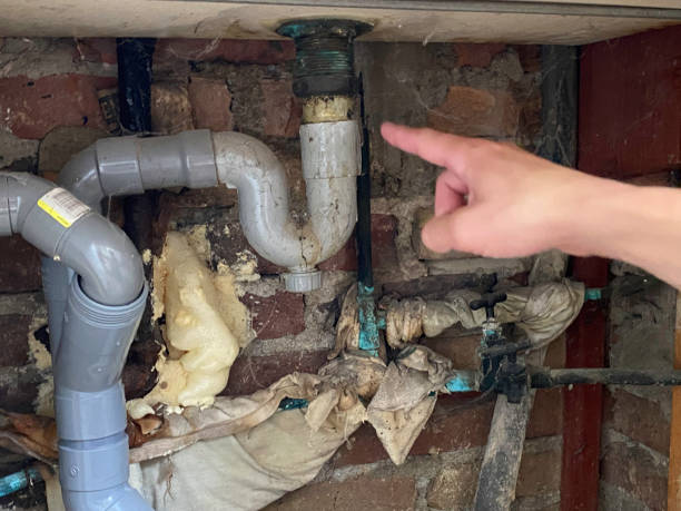 Best Water damage restoration company  in Rowland Heights, CA