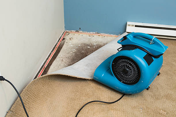 Best Water damage restoration near me  in Rowland Heights, CA